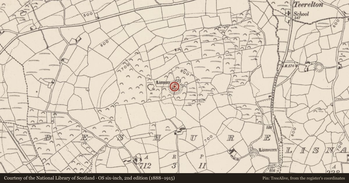 Ordnance Survey six-inch map, 2nd edition (1888–1915) covering the location of Ringfort - rath, Deshure, County Cork, with a pin at the register's coordinates