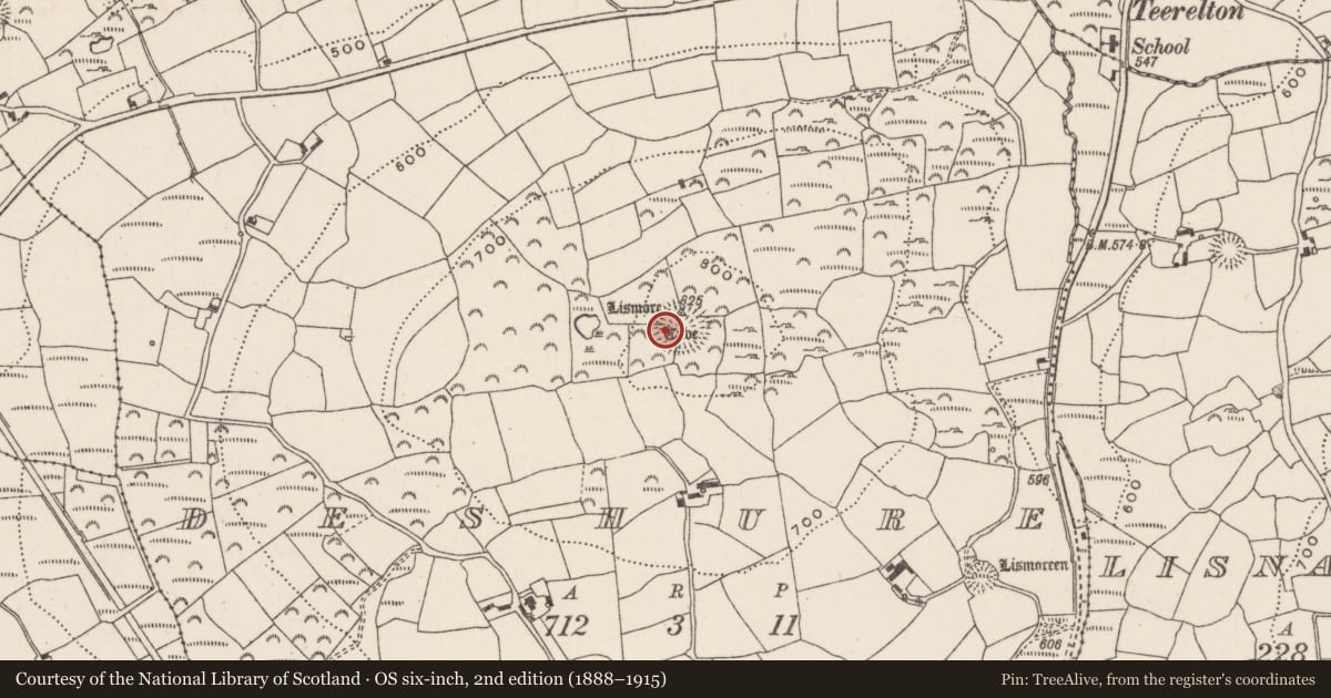Ordnance Survey six-inch map, 2nd edition (1888–1915) covering the location of Souterrain, Deshure, County Cork, with a pin at the register's coordinates