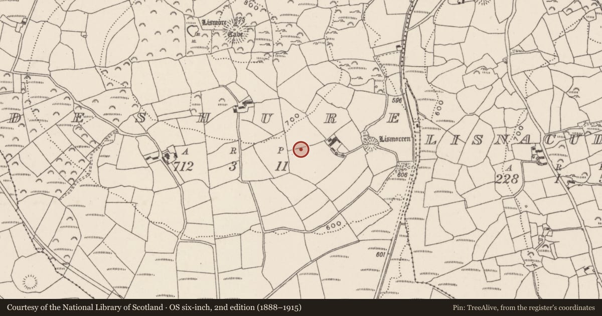 Ordnance Survey six-inch map, 2nd edition (1888–1915) covering the location of Fulacht fia, Deshure, County Cork, with a pin at the register's coordinates