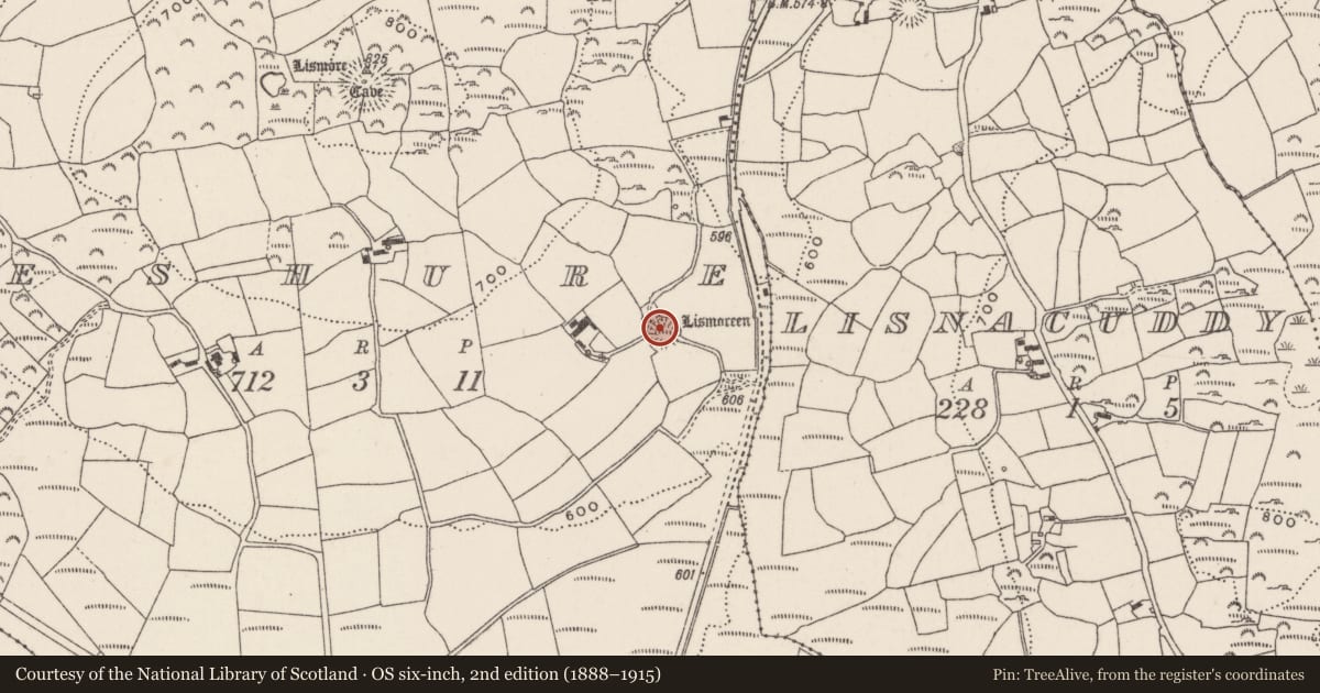 Ordnance Survey six-inch map, 2nd edition (1888–1915) covering the location of Souterrain, Deshure, County Cork, with a pin at the register's coordinates