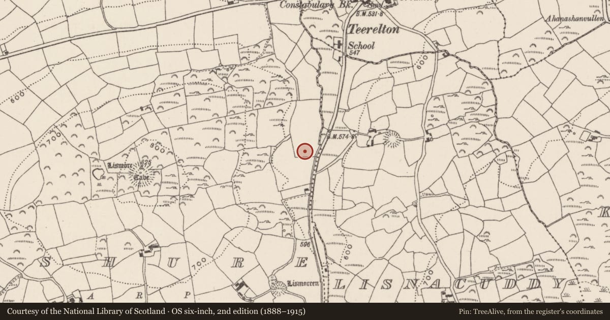 Ordnance Survey six-inch map, 2nd edition (1888–1915) covering the location of Fulacht fia, Deshure, County Cork, with a pin at the register's coordinates