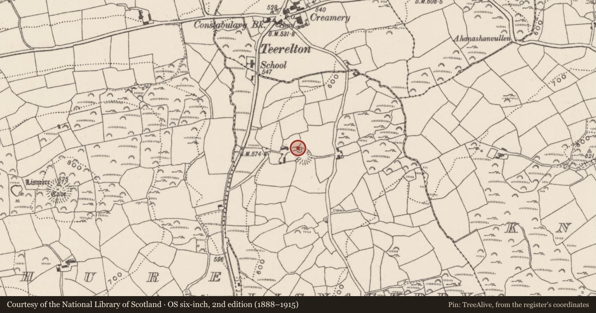Ordnance Survey six-inch map, 2nd edition (1888–1915) covering the location of Kiln - lime, Lisnacuddy, County Cork, with a pin at the register's coordinates