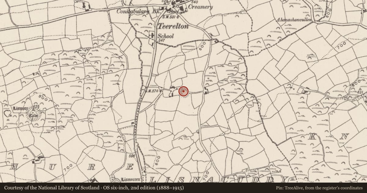 Ordnance Survey six-inch map, 2nd edition (1888–1915) covering the location of Souterrain, Lisnacuddy, County Cork, with a pin at the register's coordinates