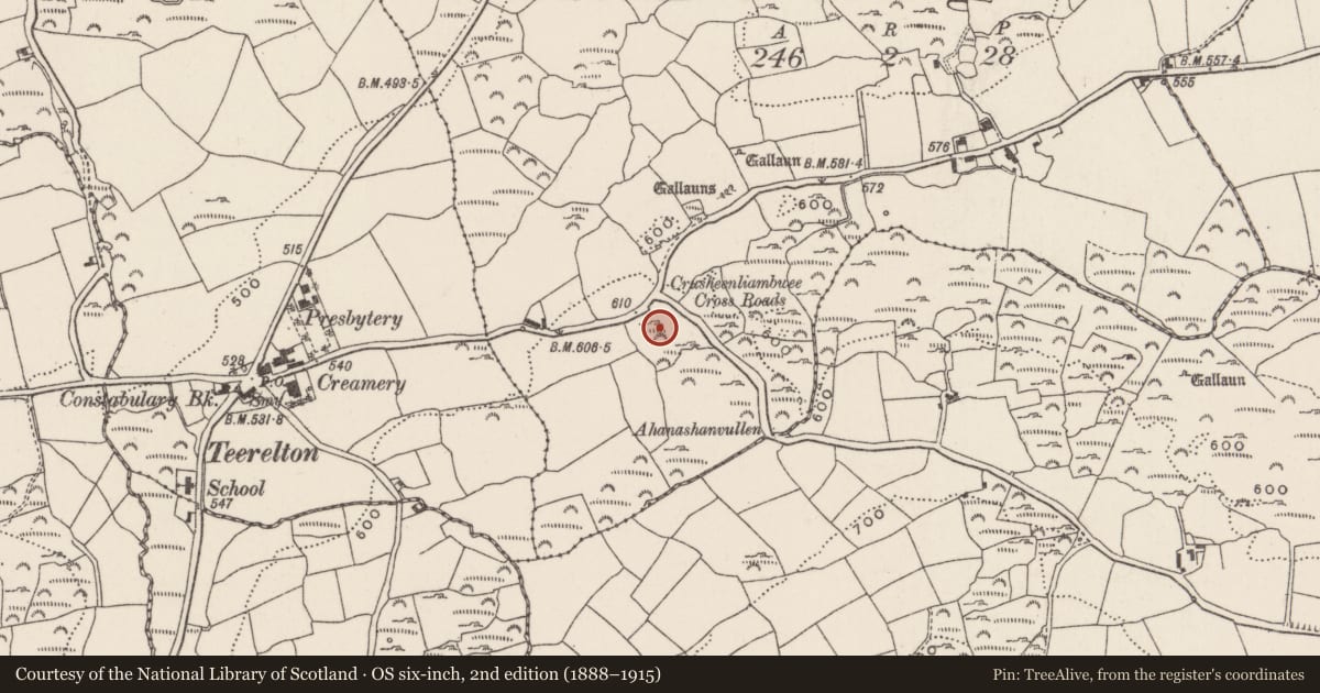 Ordnance Survey six-inch map, 2nd edition (1888–1915) covering the location of Souterrain, Rossnakilla, County Cork, with a pin at the register's coordinates