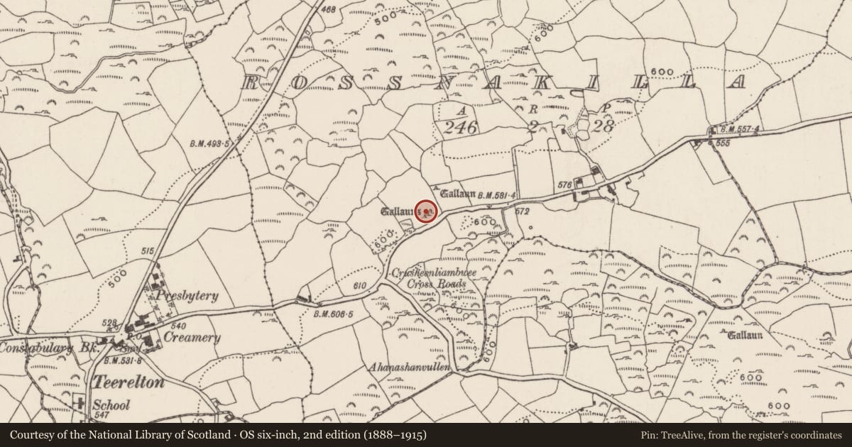 Ordnance Survey six-inch map, 2nd edition (1888–1915) covering the location of Stone row, Rossnakilla, County Cork, with a pin at the register's coordinates