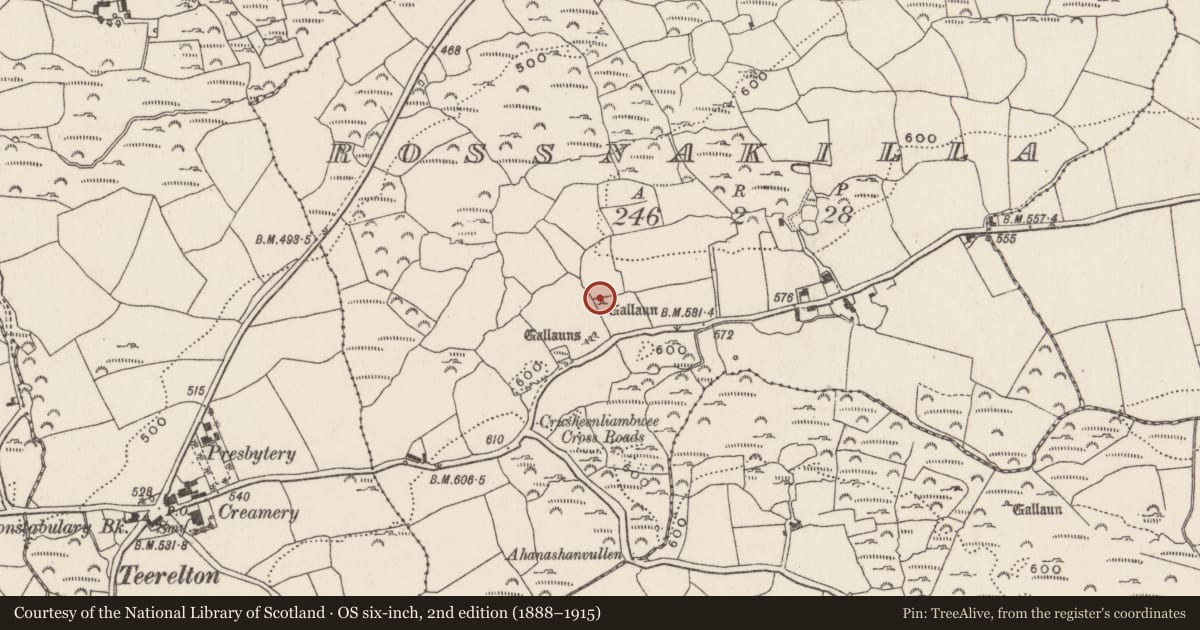 Ordnance Survey six-inch map, 2nd edition (1888–1915) covering the location of Standing stone, Rossnakilla, County Cork, with a pin at the register's coordinates