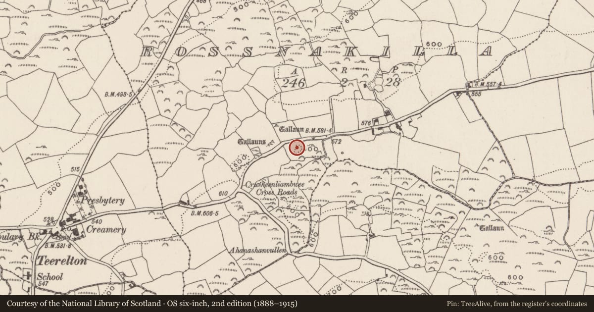 Ordnance Survey six-inch map, 2nd edition (1888–1915) covering the location of Standing stone, Rossnakilla, County Cork, with a pin at the register's coordinates