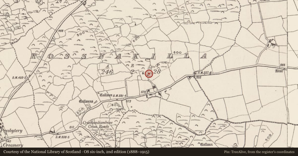 Ordnance Survey six-inch map, 2nd edition (1888–1915) covering the location of Ringfort - rath, Rossnakilla, County Cork, with a pin at the register's coordinates