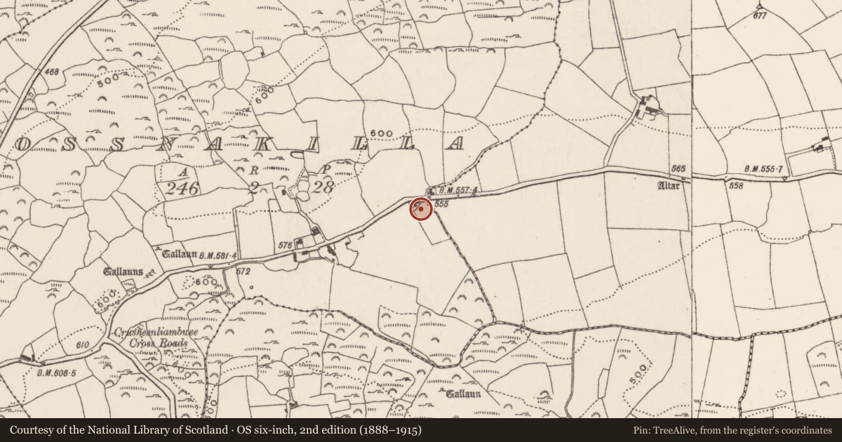 Ordnance Survey six-inch map, 2nd edition (1888–1915) covering the location of Fulacht fia, Rossnakilla, County Cork, with a pin at the register's coordinates
