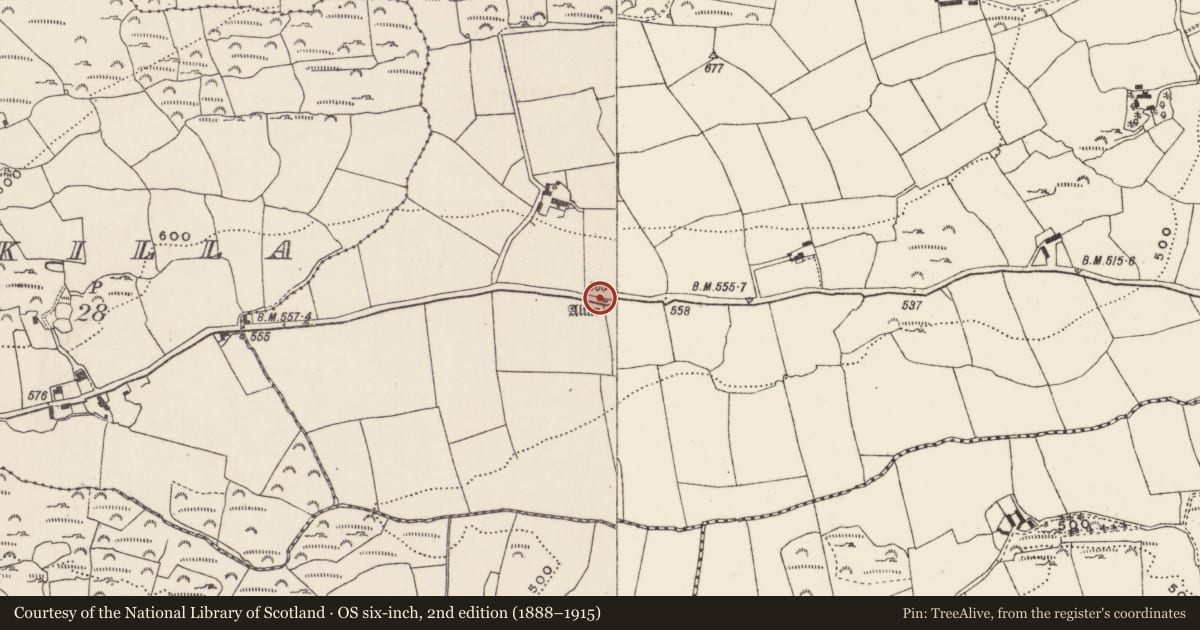 Ordnance Survey six-inch map, 2nd edition (1888–1915) covering the location of Cupmarked stone, Ardaneneen, County Cork, with a pin at the register's coordinates