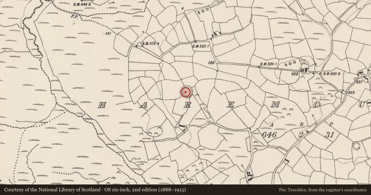 Ordnance Survey six-inch map, 2nd edition (1888–1915) covering the location of Ringfort - cashel, Haremount, County Cork, with a pin at the register's coordinates