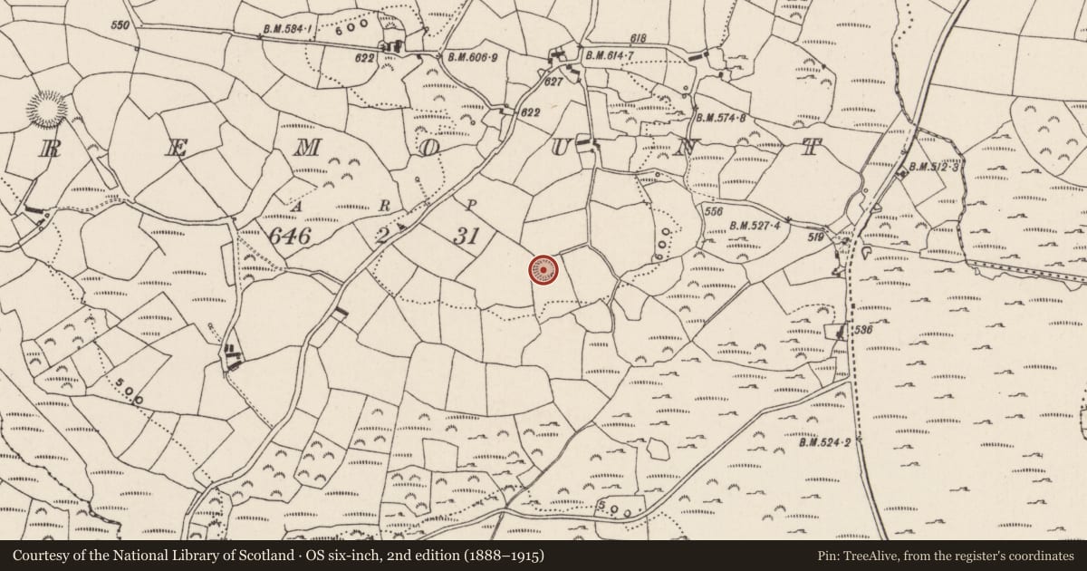 Ordnance Survey six-inch map, 2nd edition (1888–1915) covering the location of Ringfort - rath, Haremount, County Cork, with a pin at the register's coordinates