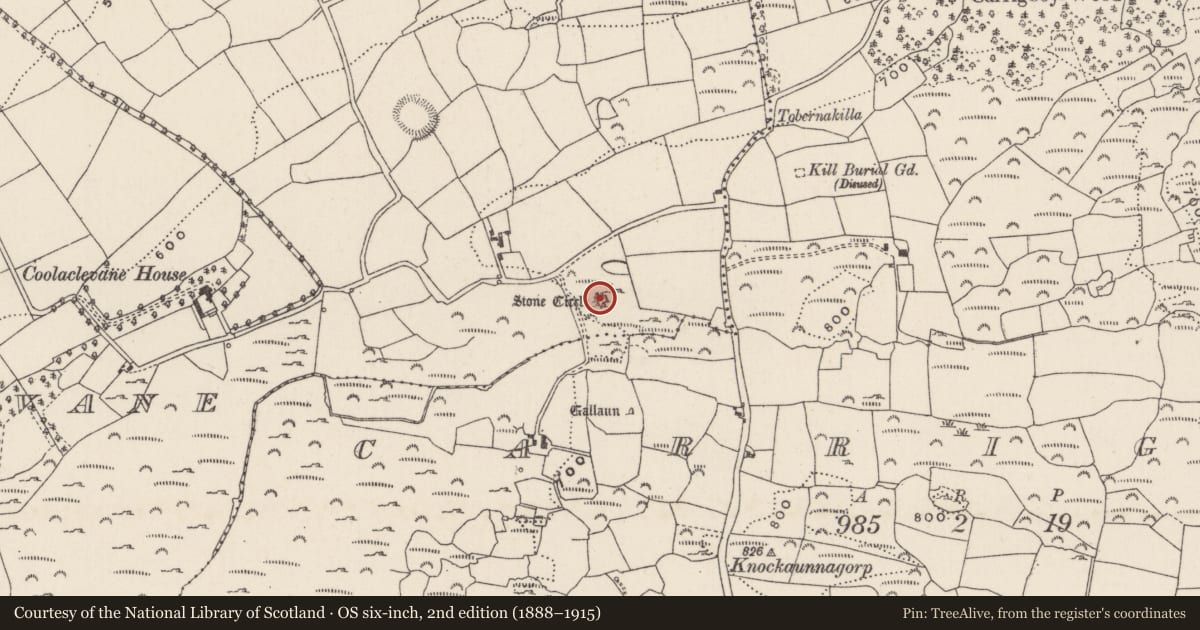 Ordnance Survey six-inch map, 2nd edition (1888–1915) covering the location of Stone circle - multiple-stone, Coolaclevane, County Cork, with a pin at the register's coordinates