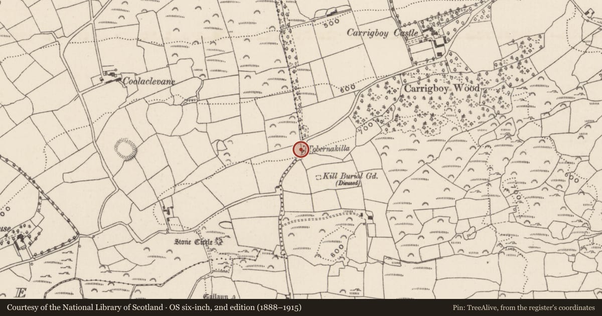 Ordnance Survey six-inch map, 2nd edition (1888–1915) covering the location of Ritual site - holy well, Carrigboy, Coolaclevane, County Cork, with a pin at the register's coordinates
