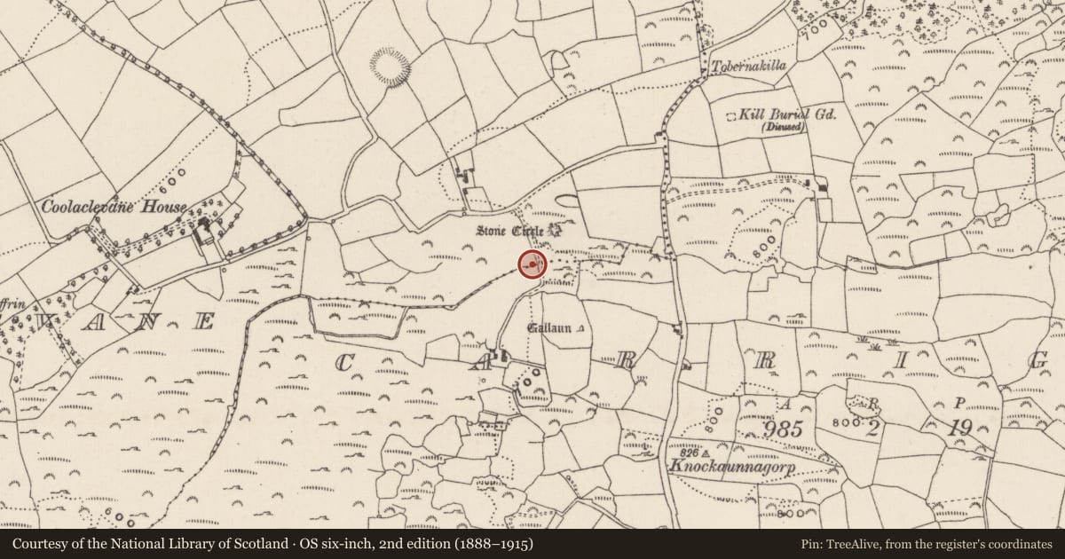 Ordnance Survey six-inch map, 2nd edition (1888–1915) covering the location of Fulacht fia, Carrigboy, County Cork, with a pin at the register's coordinates