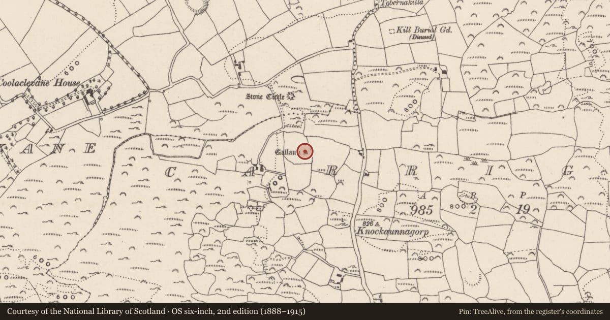 Ordnance Survey six-inch map, 2nd edition (1888–1915) covering the location of Standing stone, Carrigboy, County Cork, with a pin at the register's coordinates