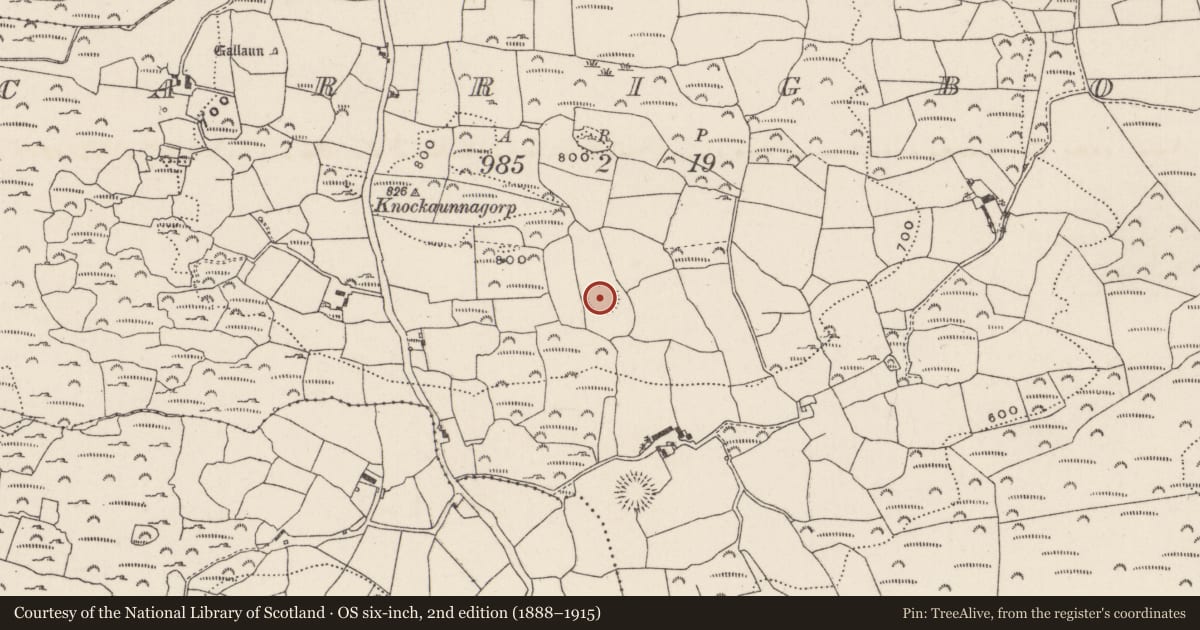 Ordnance Survey six-inch map, 2nd edition (1888–1915) covering the location of Ringfort - rath, Carrigboy, County Cork, with a pin at the register's coordinates
