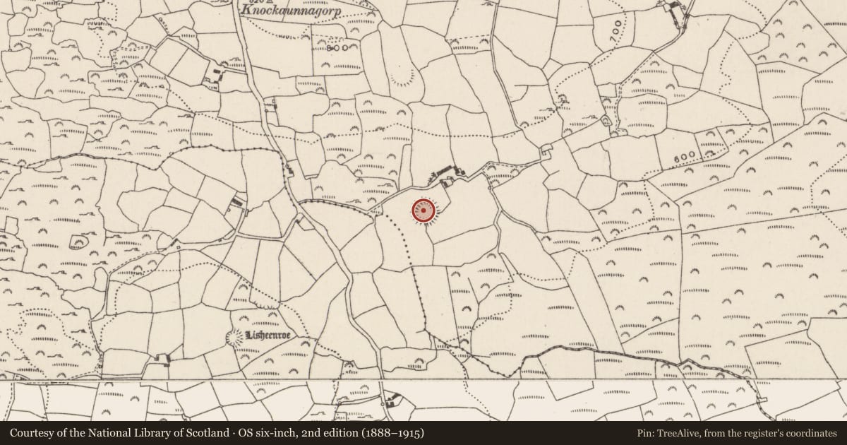 Ordnance Survey six-inch map, 2nd edition (1888–1915) covering the location of Ringfort - rath, Carrigboy, County Cork, with a pin at the register's coordinates