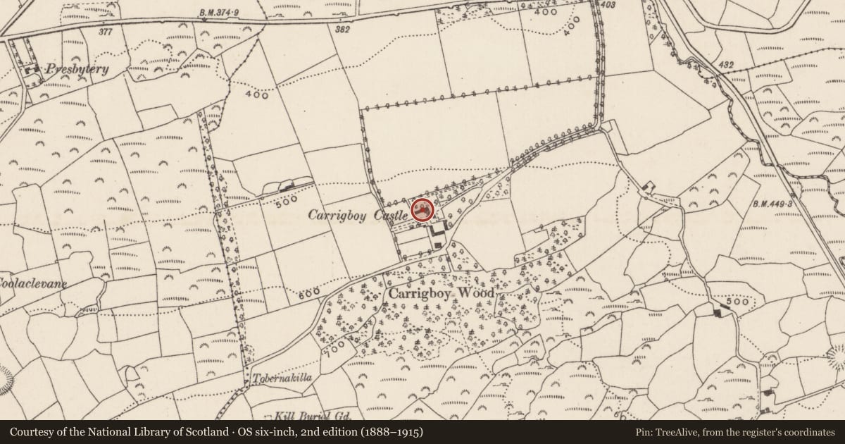 Ordnance Survey six-inch map, 2nd edition (1888–1915) covering the location of Country house, Carrigboy, County Cork, with a pin at the register's coordinates