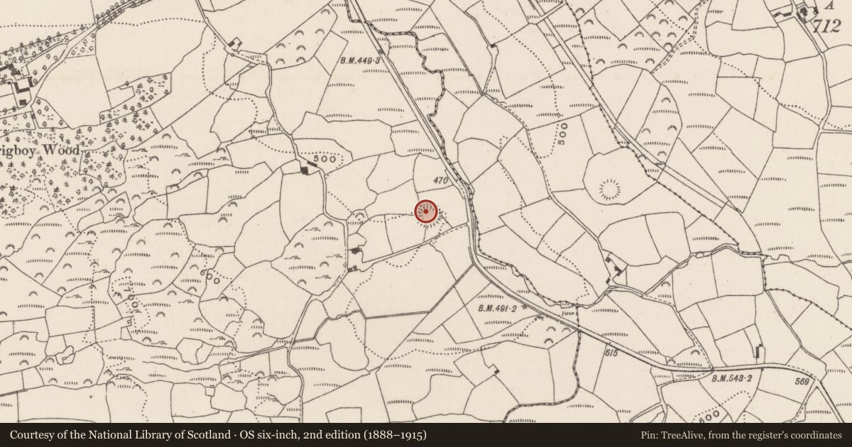 Ordnance Survey six-inch map, 2nd edition (1888–1915) covering the location of Souterrain, Carrigboy, County Cork, with a pin at the register's coordinates