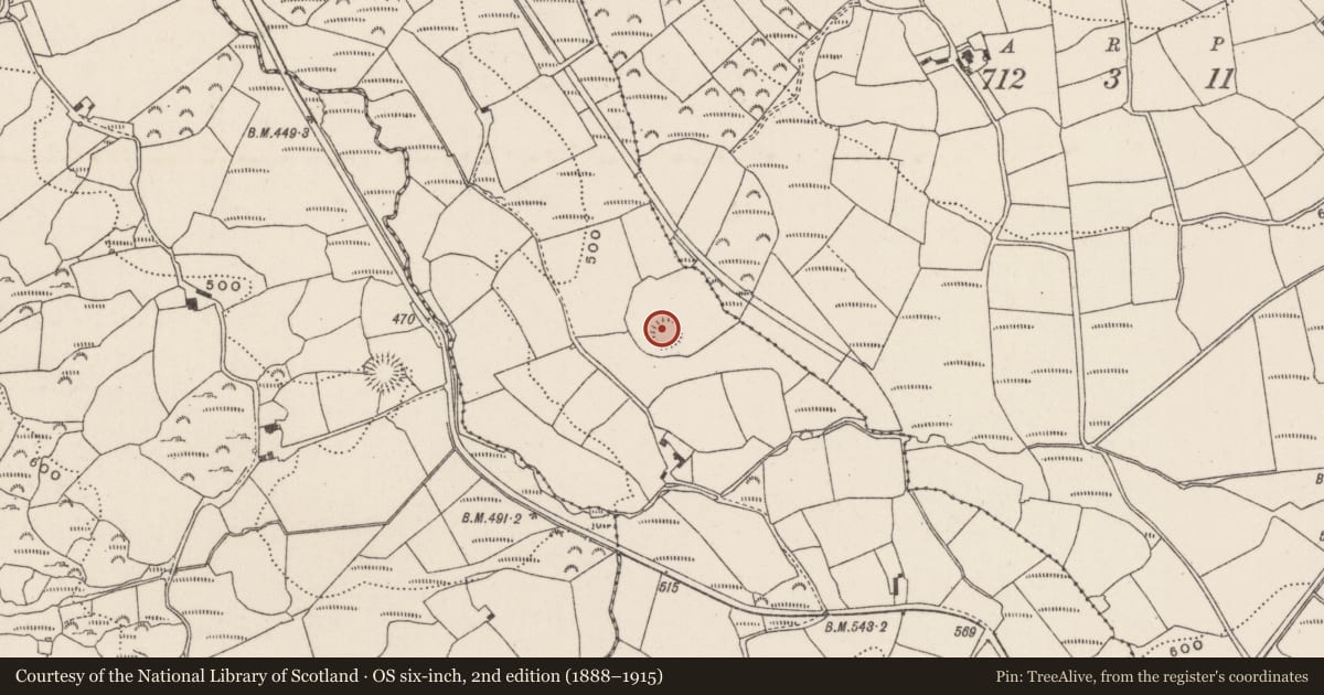 Ordnance Survey six-inch map, 2nd edition (1888–1915) covering the location of Ringfort - rath, Baulbrack, County Cork, with a pin at the register's coordinates