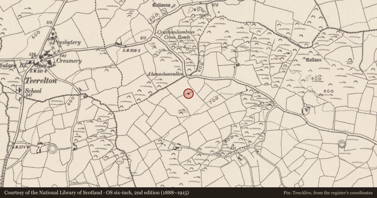 Ordnance Survey six-inch map, 2nd edition (1888–1915) covering the location of Souterrain, Knockane, County Cork, with a pin at the register's coordinates