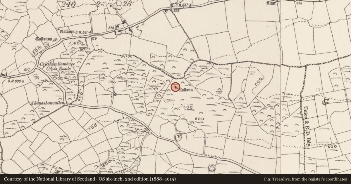 Ordnance Survey six-inch map, 2nd edition (1888–1915) covering the location of Standing stone, Knockane, County Cork, with a pin at the register's coordinates