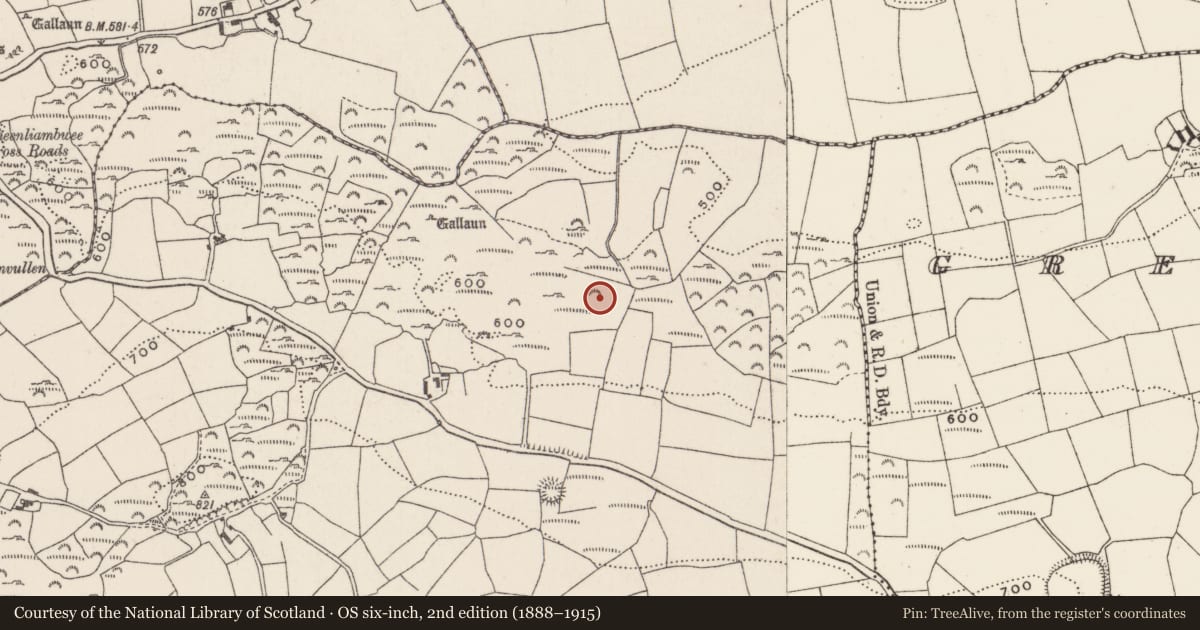 Ordnance Survey six-inch map, 2nd edition (1888–1915) covering the location of Megalithic tomb - wedge tomb, Knockane, County Cork, with a pin at the register's coordinates