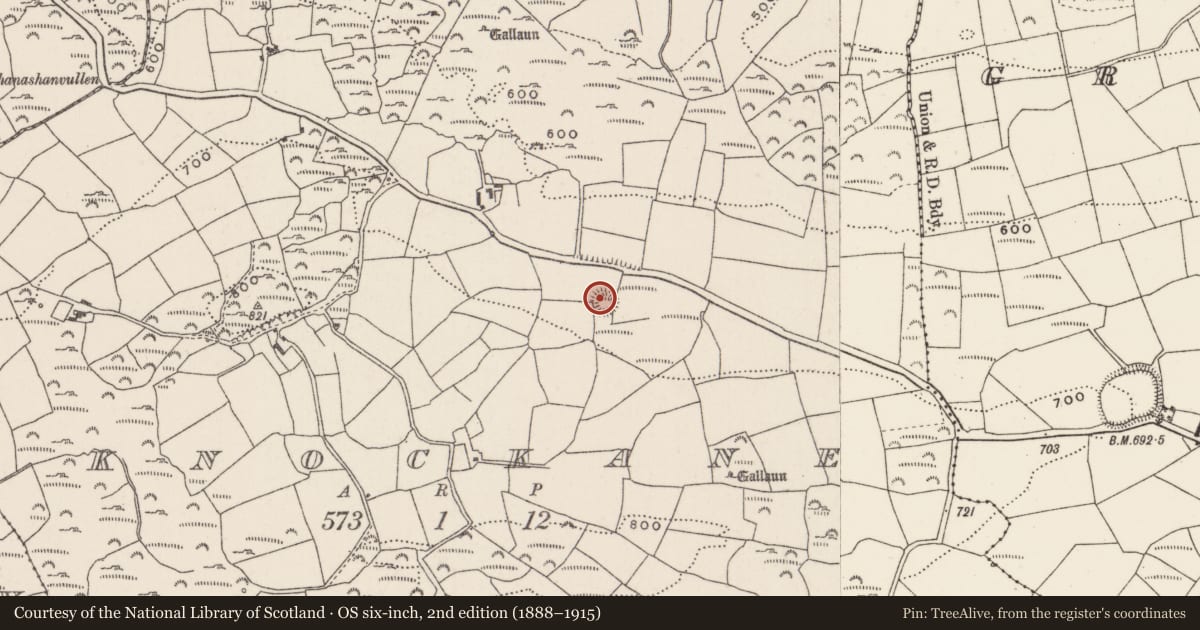 Ordnance Survey six-inch map, 2nd edition (1888–1915) covering the location of Ringfort - rath, Knockane, County Cork, with a pin at the register's coordinates