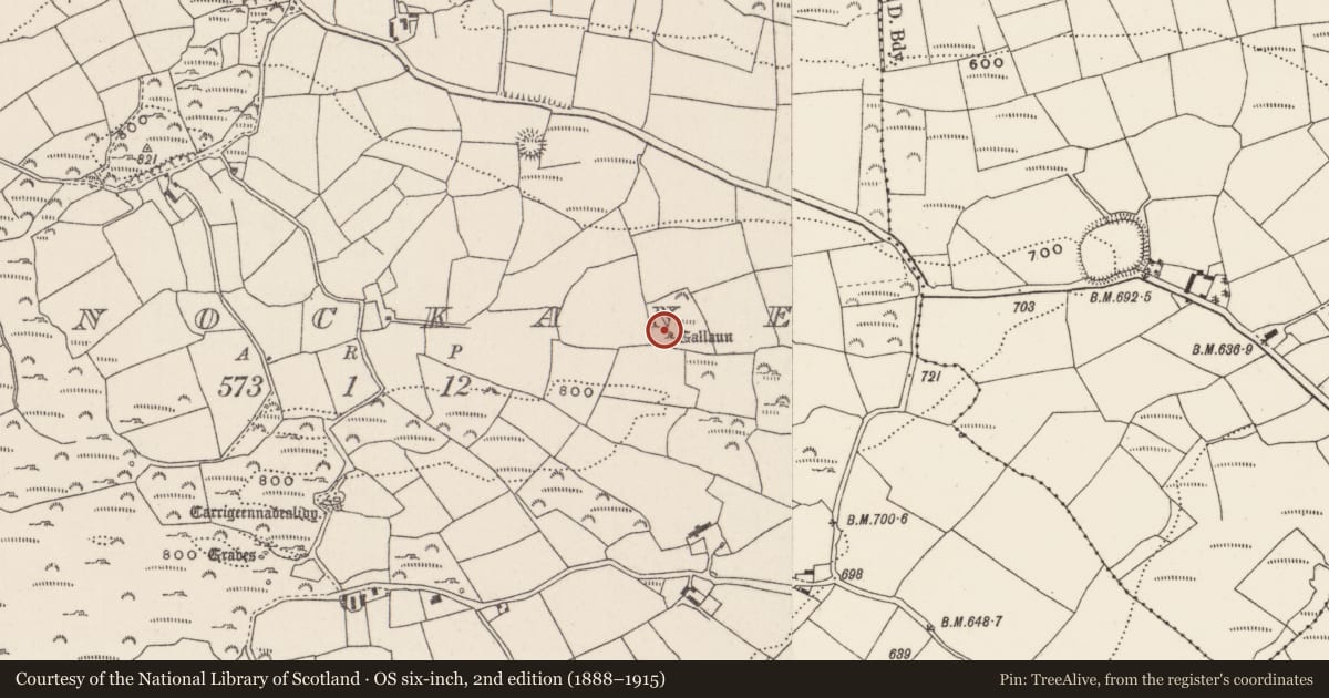 Ordnance Survey six-inch map, 2nd edition (1888–1915) covering the location of Standing stone, Knockane, County Cork, with a pin at the register's coordinates