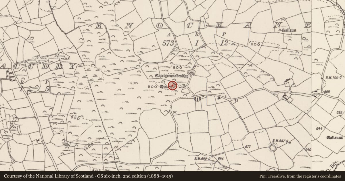 Ordnance Survey six-inch map, 2nd edition (1888–1915) covering the location of Megalithic tomb - wedge tomb, Knockane, County Cork, with a pin at the register's coordinates