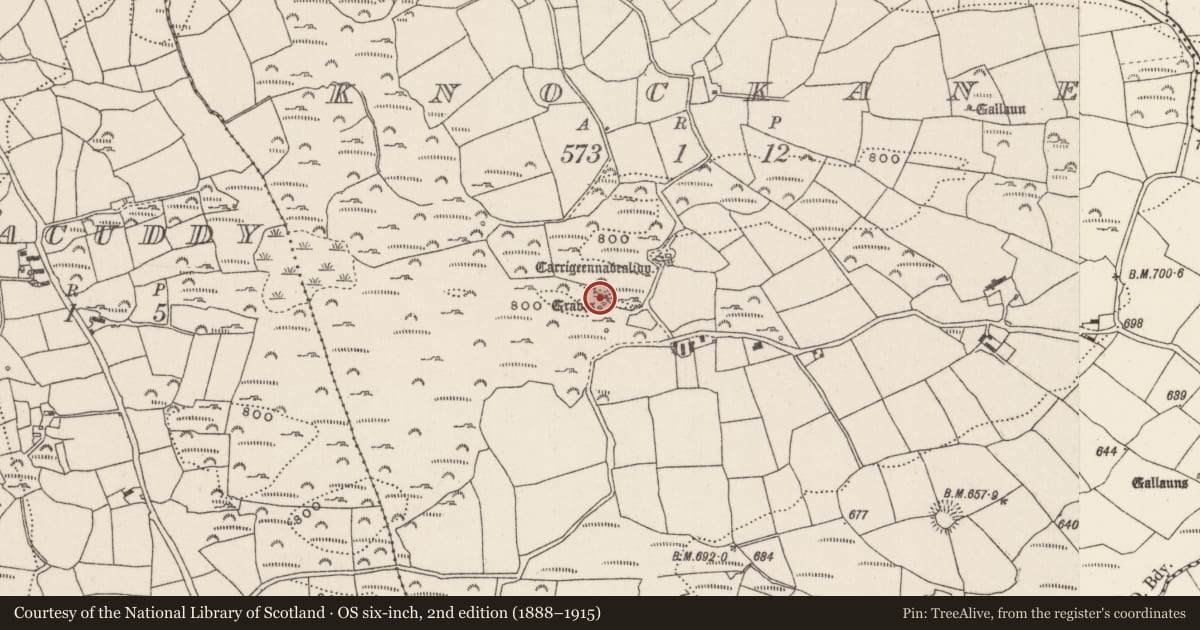 Ordnance Survey six-inch map, 2nd edition (1888–1915) covering the location of Megalithic tomb - wedge tomb, Knockane, County Cork, with a pin at the register's coordinates
