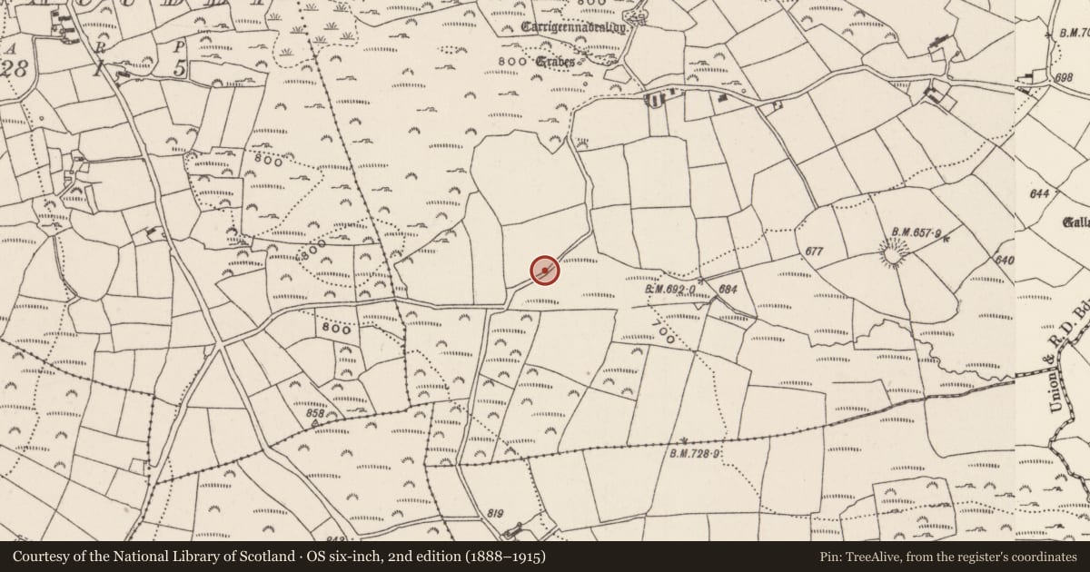 Ordnance Survey six-inch map, 2nd edition (1888–1915) covering the location of Fulacht fia, Knockane, County Cork, with a pin at the register's coordinates