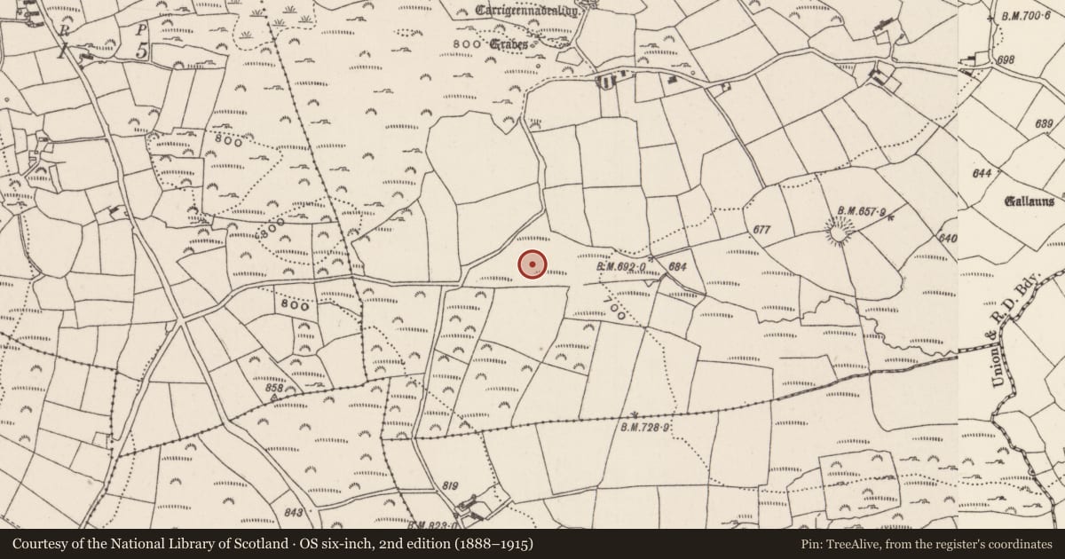 Ordnance Survey six-inch map, 2nd edition (1888–1915) covering the location of Fulacht fia, Knockane, County Cork, with a pin at the register's coordinates