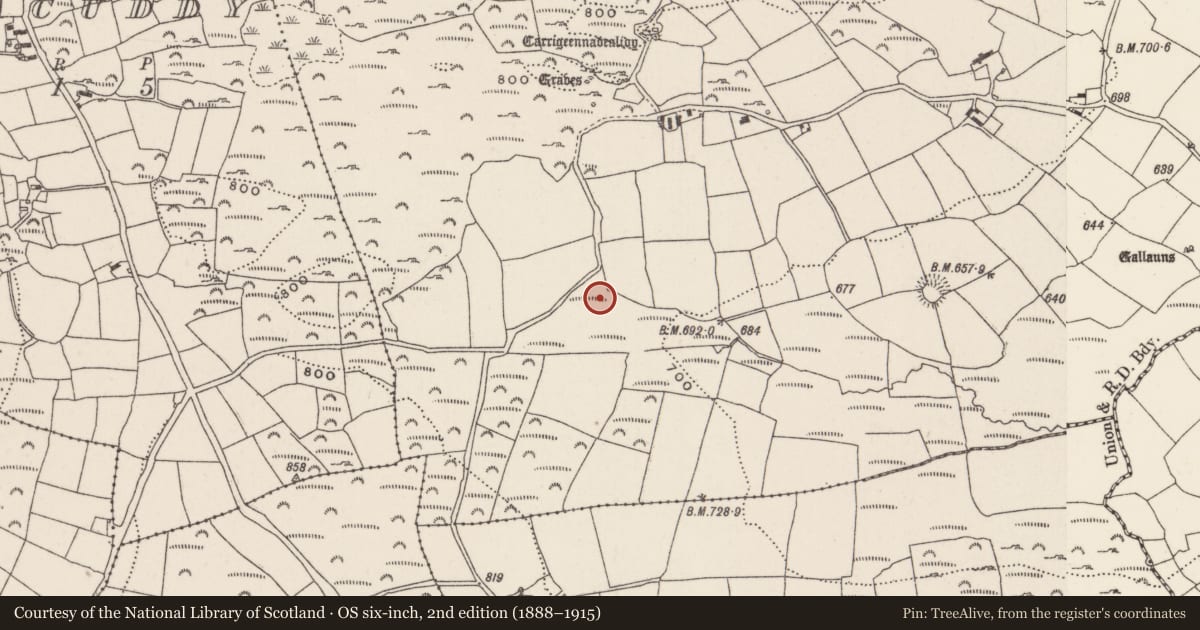 Ordnance Survey six-inch map, 2nd edition (1888–1915) covering the location of Fulacht fia, Knockane, County Cork, with a pin at the register's coordinates