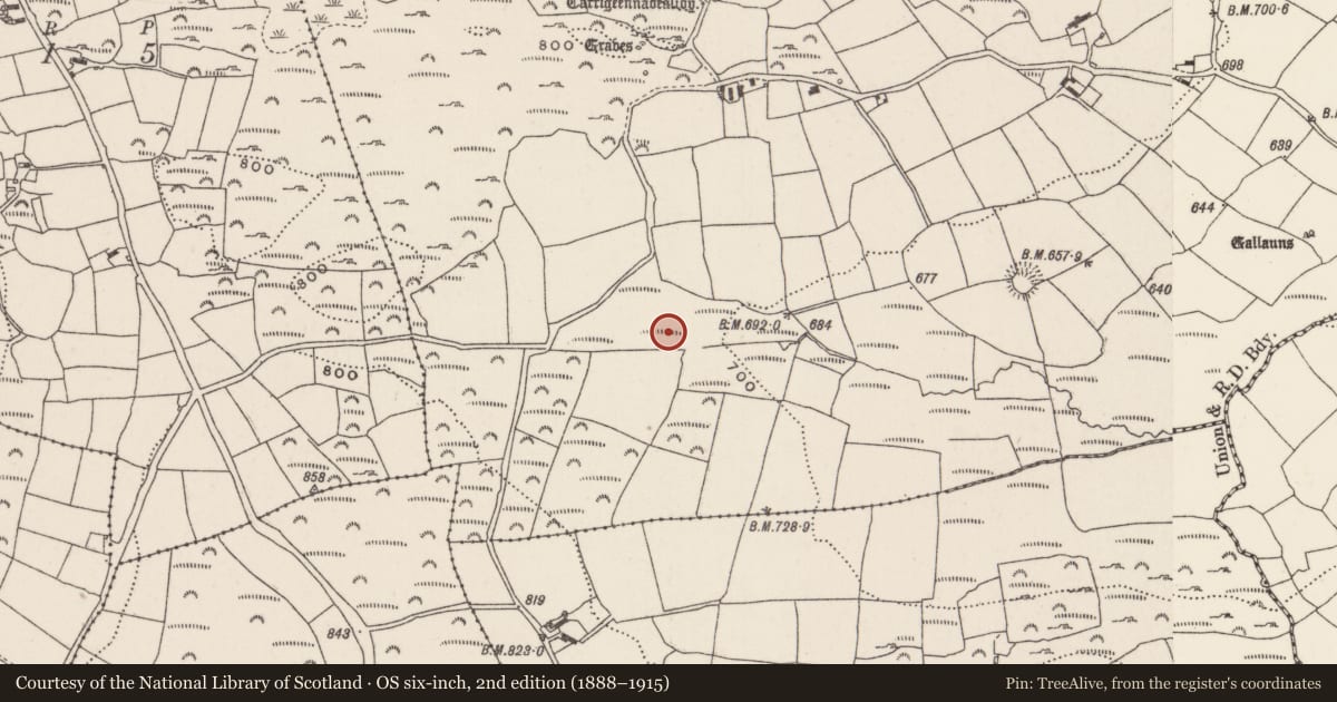 Ordnance Survey six-inch map, 2nd edition (1888–1915) covering the location of Fulacht fia, Knockane, County Cork, with a pin at the register's coordinates