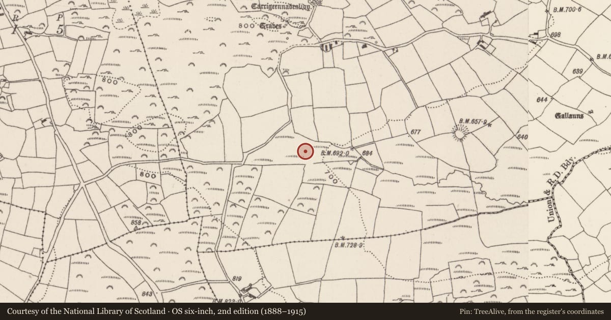 Ordnance Survey six-inch map, 2nd edition (1888–1915) covering the location of Fulacht fia, Knockane, County Cork, with a pin at the register's coordinates