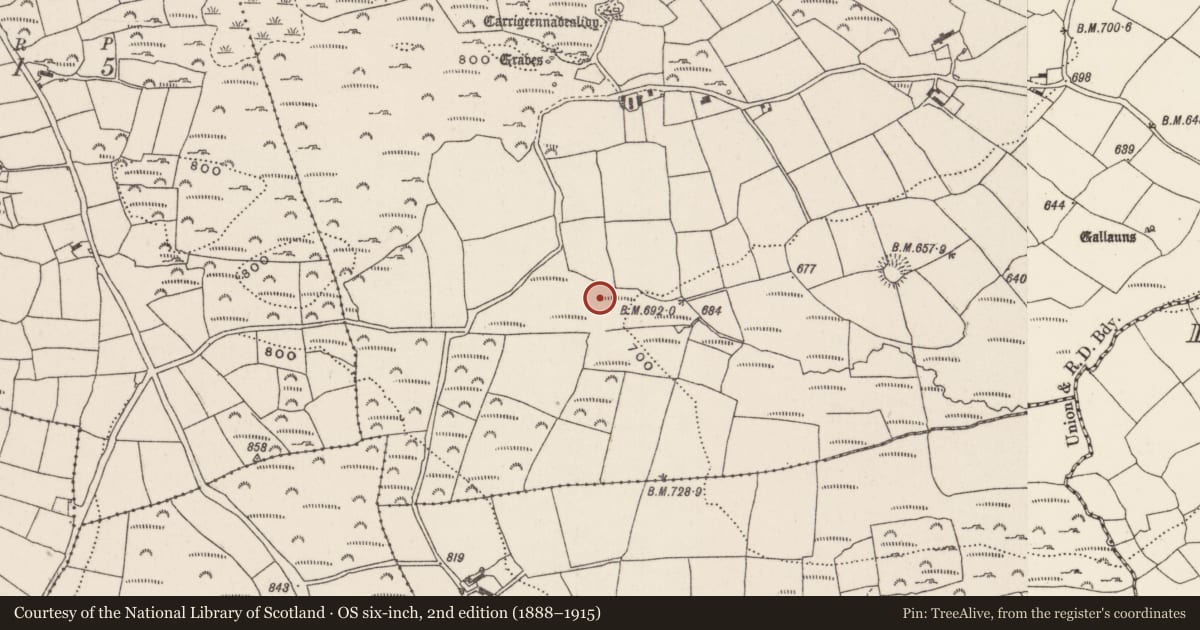 Ordnance Survey six-inch map, 2nd edition (1888–1915) covering the location of Fulacht fia, Knockane, County Cork, with a pin at the register's coordinates