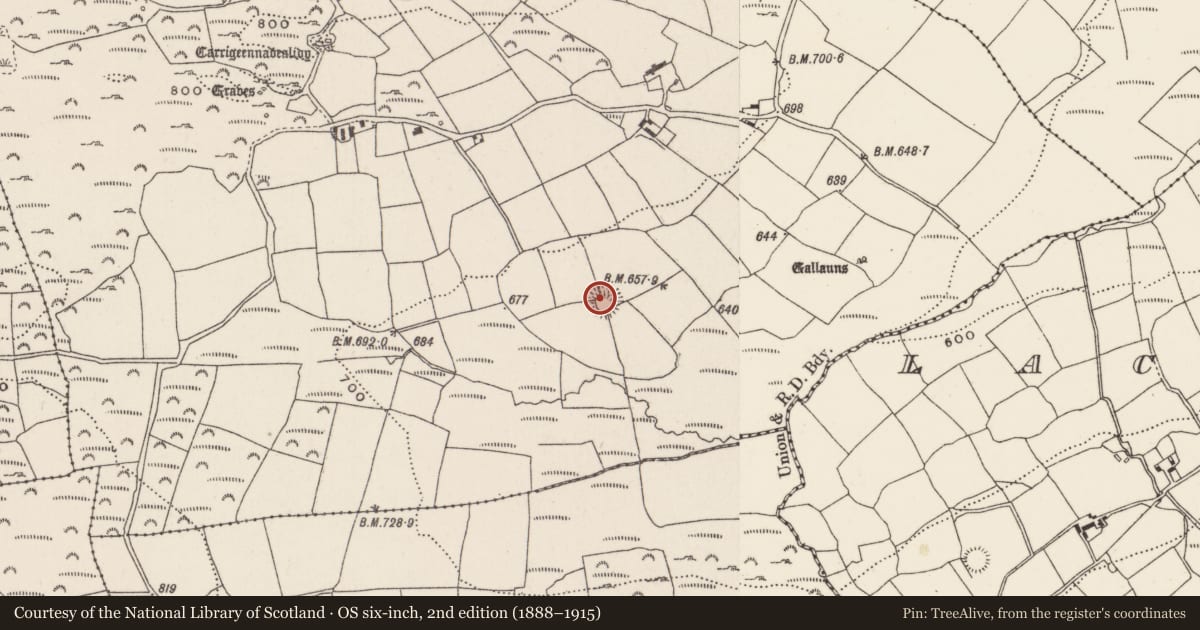 Ordnance Survey six-inch map, 2nd edition (1888–1915) covering the location of Ringfort - rath, Knockane, County Cork, with a pin at the register's coordinates