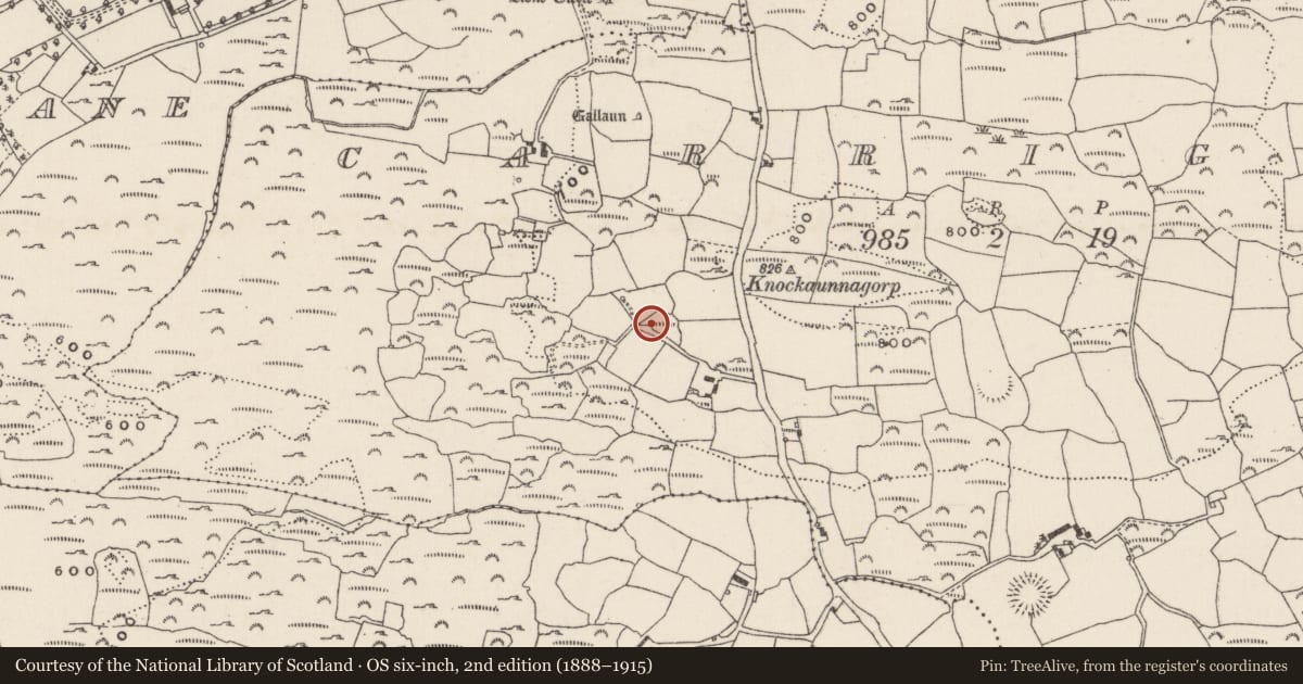 Ordnance Survey six-inch map, 2nd edition (1888–1915) covering the location of Kiln - lime, Carrigboy, County Cork, with a pin at the register's coordinates