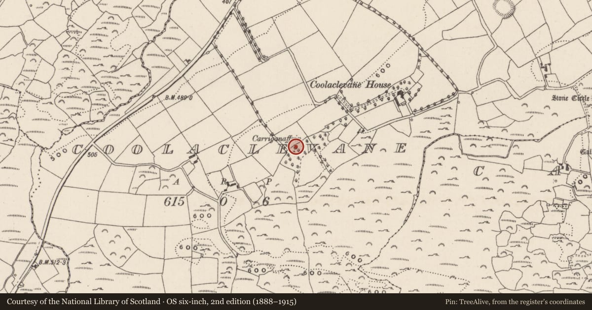 Ordnance Survey six-inch map, 2nd edition (1888–1915) covering the location of Mass-rock, Coolaclevane, County Cork, with a pin at the register's coordinates