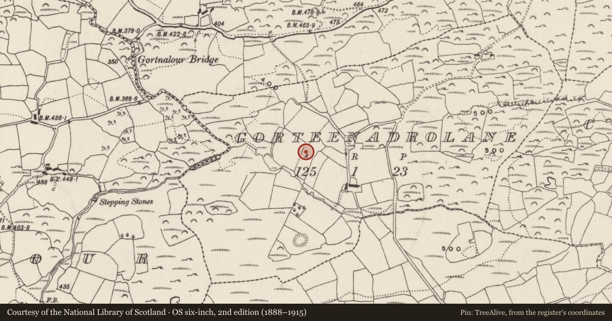 Ordnance Survey six-inch map, 2nd edition (1888–1915) covering the location of Ringfort - rath, Gorteenadrolane, County Cork, with a pin at the register's coordinates