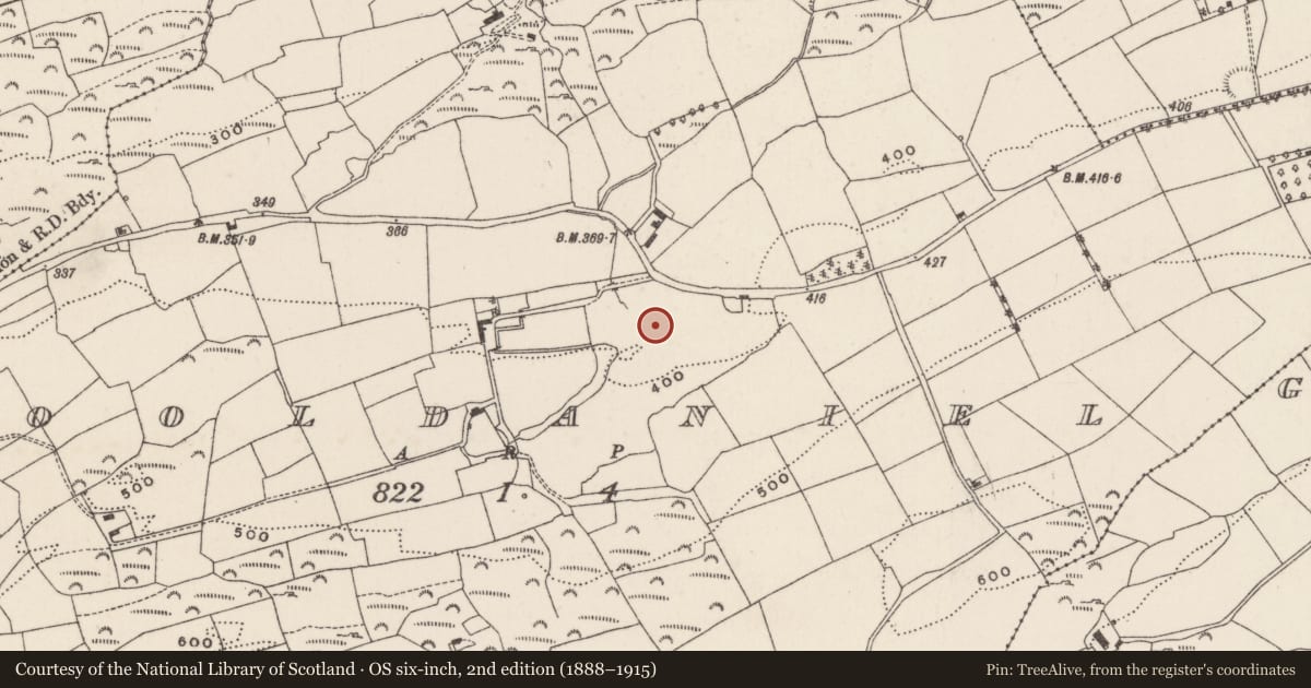 Ordnance Survey six-inch map, 2nd edition (1888–1915) covering the location of Fulacht fia, Cooldaniel, County Cork, with a pin at the register's coordinates