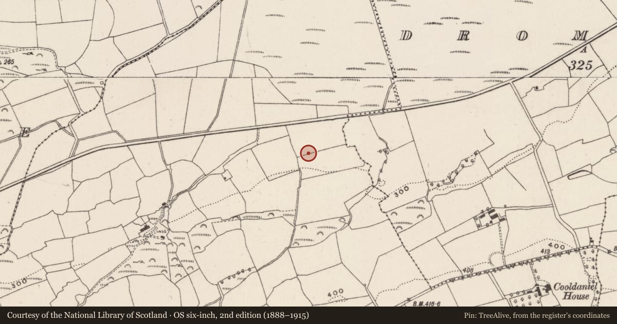 Ordnance Survey six-inch map, 2nd edition (1888–1915) covering the location of Souterrain, Cooldaniel, County Cork, with a pin at the register's coordinates