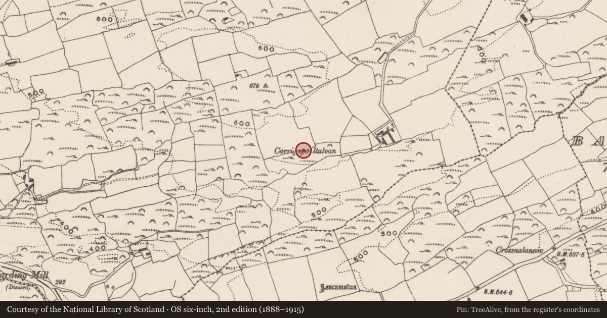 Ordnance Survey six-inch map, 2nd edition (1888–1915) covering the location of Souterrain, Cooldaniel, County Cork, with a pin at the register's coordinates