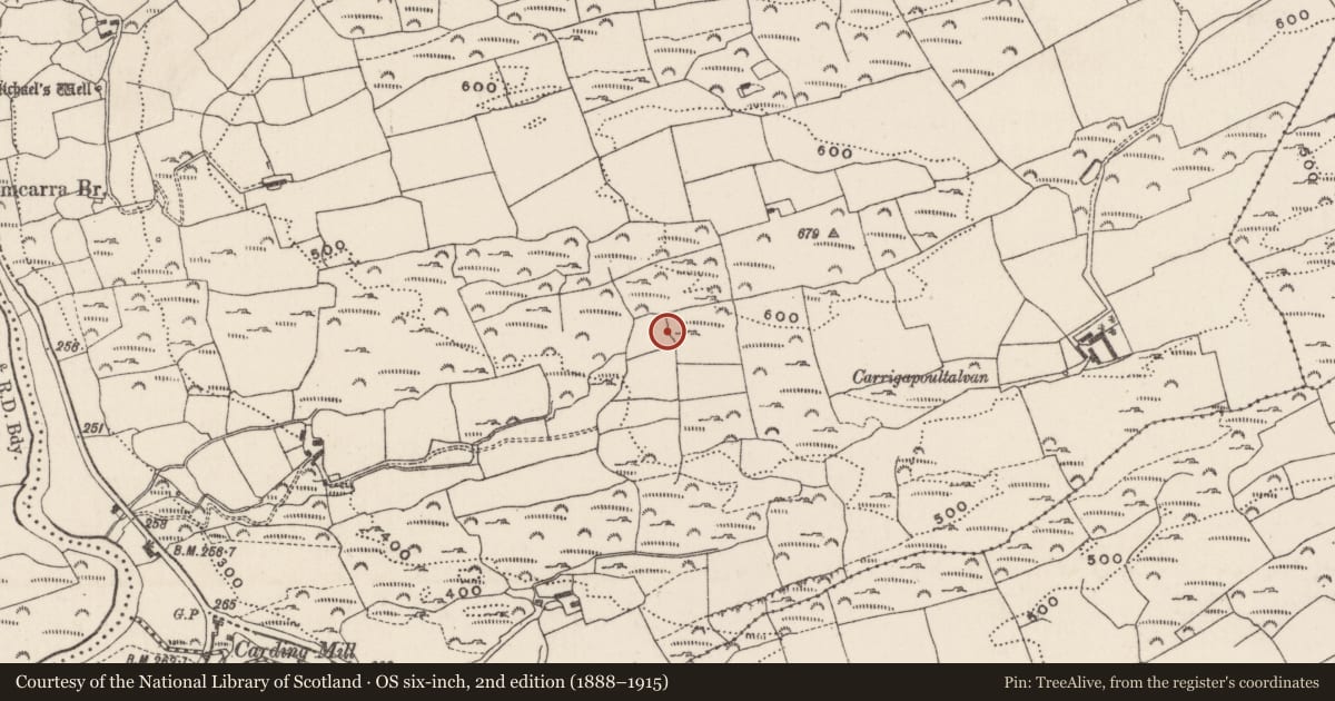 Ordnance Survey six-inch map, 2nd edition (1888–1915) covering the location of Mass-rock, Cooldaniel, County Cork, with a pin at the register's coordinates