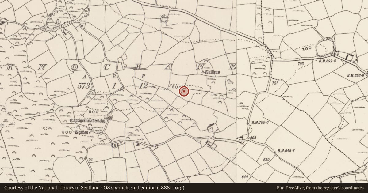 Ordnance Survey six-inch map, 2nd edition (1888–1915) covering the location of Burnt mound, Knockane, County Cork, with a pin at the register's coordinates