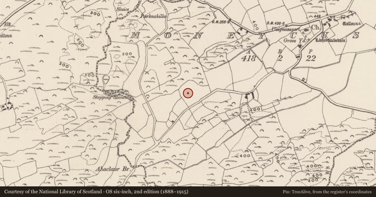 Ordnance Survey six-inch map, 2nd edition (1888–1915) covering the location of Souterrain, Moneycusker, County Cork, with a pin at the register's coordinates