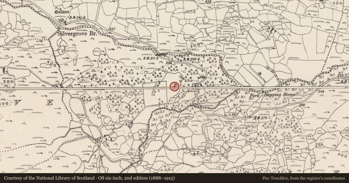 Ordnance Survey six-inch map, 2nd edition (1888–1915) covering the location of Standing stone, Cloonshear More, County Cork, with a pin at the register's coordinates