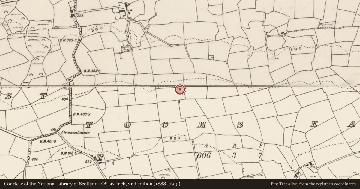 Ordnance Survey six-inch map, 2nd edition (1888–1915) covering the location of Ringfort - rath, Tooms East, County Cork, with a pin at the register's coordinates